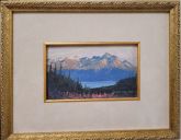 DianePatonPeel01-Framed