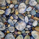 Viv-McElgunn-Lievkovsky---Beach-Glass-XII---14x14---Acrylic-on-Canvas