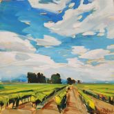 BC-Vineyard-8x8